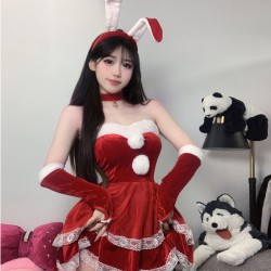 Women's Christmas Costume, 101